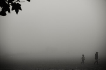 people in the mist