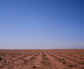 plowed field in spring