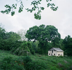 Obraz na płótnie Canvas house in the woods