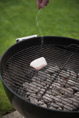 fish on grill
