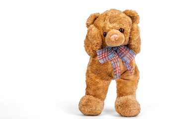 Teddy bear stopped on white background.