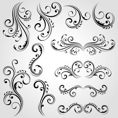 Fototapeta premium Vector set of floral design elements.