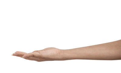 Hand with natural plant fiber disposable on white background