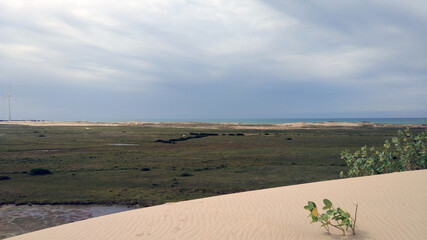 sand dunes in the coast