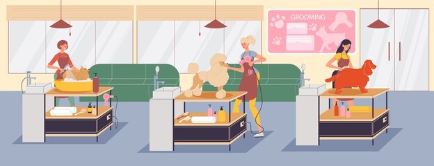 Purebred pet grooming professional salon service. Woman groomer washing, drying, combing fluffy dogs hair. Hygiene procedure for domestic animal. Professional care, bathing, cleaning, styling