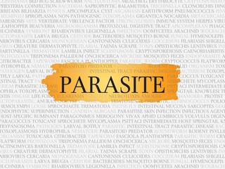 parasite