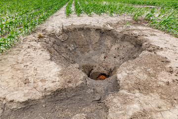 Broken and damaged clay field tile drainage system caused large sink hole in farm field during...