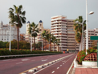 View of the city street with palm trees. Asphalt road with white markings on the background of buildings. The direction of traffic.
