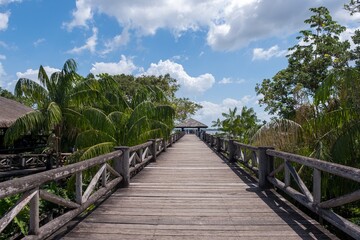Naklejka na ściany i meble Beautiful wooden bridge among the tropical palm trees under a cloudy sky in Brazil