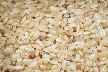 Close-up of yamani rice