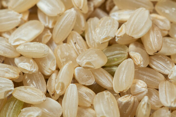 Close-up of yamani rice