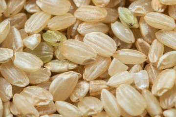 Close-up of yamani rice