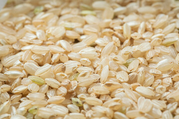 Close-up of yamani rice