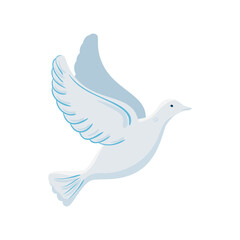 white dove flying on white background vector illustration design