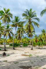 Obraz na płótnie Canvas Beautiful beach house under the coconut trees on the carribean coast of Colombia
