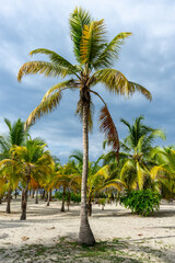 Fototapeta na wymiar Beautiful beach house under the coconut trees on the carribean coast of Colombia