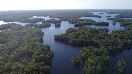 Aerial Panoramic View of a Lake surrounded by nature landscape