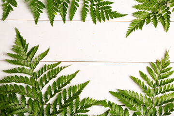 Fern boarder on Natural wood vintage background with copy space