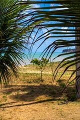 Joao Pessoa, Paraiba, Brazil  January 6, 2020 Local people and tourists at Praia do Bessa beach, Joao Pessoa PB, Brazil