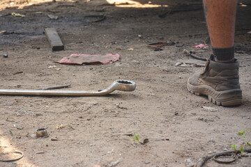 Fototapeta na wymiar snake-like wrench towards a person's foot