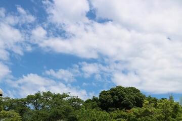 Fototapeta na wymiar 緑　青空　爽やか　風景　