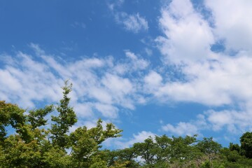 Obraz premium 緑 青空 爽やか 風景 