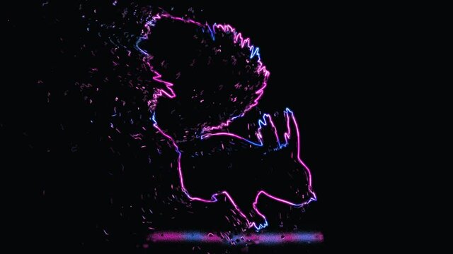 4K video animation of the beautiful outline of squirrel, with neon lighting and disintegration effect. animal outline with neon light effect isolated on black background.