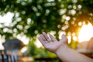 Technology,   Hands holding  globe of tropical nature summer background