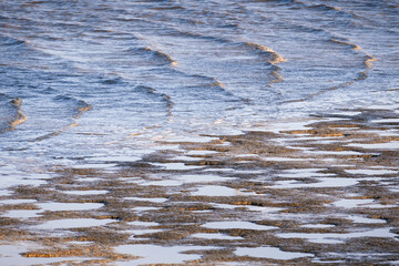 Water coming in at high tide and covering the muddy shores of San Francisco Bay Area, California