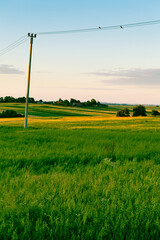 Summer landscape of meadows and fields, agricultural areas of southern Poland in Europe. fields of grain, wheat.