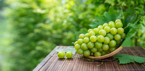 Green grape in Bamboo basket on wooden table in garden, Shine Muscat Grape with leaves in blur background