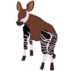 Fototapeta na wymiar Okapi Illustration