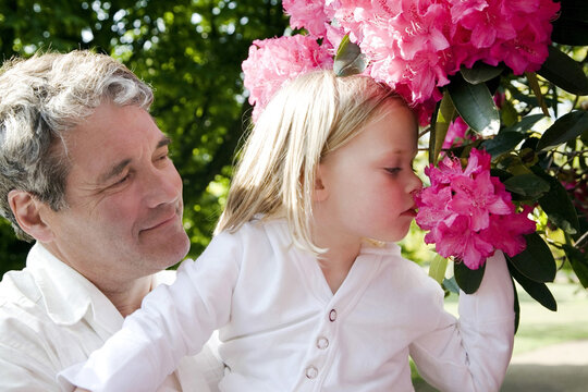 Senior Man Carrying Girl, Girl Smelling Flowers On Plant