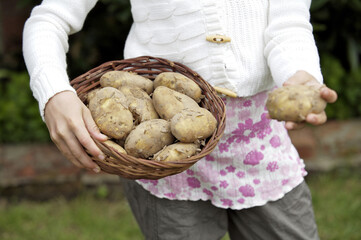 Girl holding a basket of potatoes