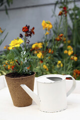 Small watering can beside a flower pot