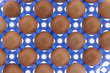 Blue tray full of organic eggs in studio.