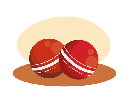 cricet ball sport equipment icon