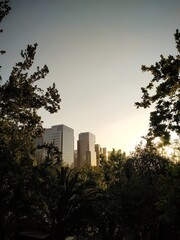 A beautiful view of the buildings in the financial district in Santiago, Chile, from the Parque Araucano in the sunset