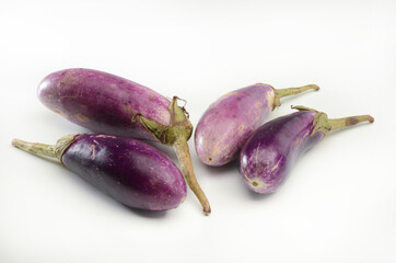 Tropical purple Eggplant