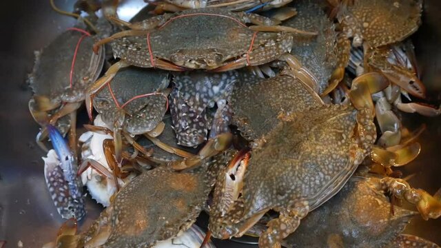 chef preparing crabs for cooking