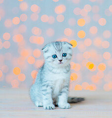A little cute striped kitten with blue eyes sits on a background of white-yellow lights and looks at the camera