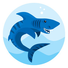 Shark in flat style. Vector illustration isolated on a white background.