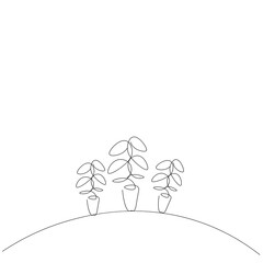 Plant in pot line drawing vector illustration 
