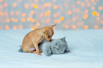 Fototapeta na wymiar Kitten and puppy play on a white blanket on a background of white lights