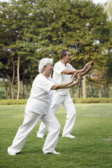 Senior couple practising tai chi in the park