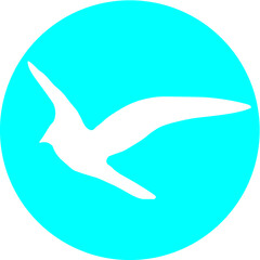 Fototapeta na wymiar bird logo