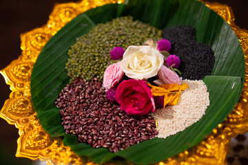 variety of bean on leaf