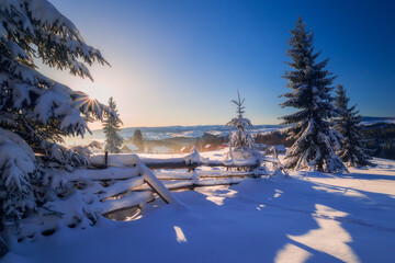 Snowy winter scene in the sunrise