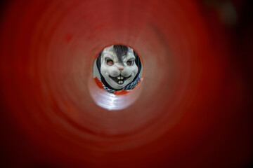 man in a rabbit mask looking through an orange tunnel