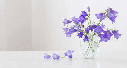 bluebell flowers in glass jar on white background